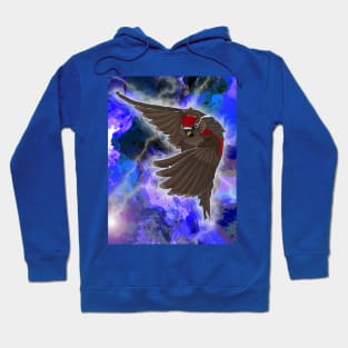 Brave The Eye Of The Storm Hoodie